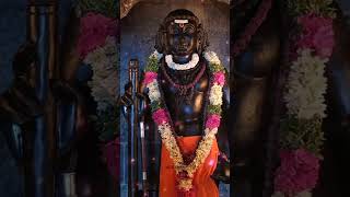 Murugaaaa 🥹🤲🏻🪷🦚⚜️✨ tamil songwhatsappstatus murugasongs viralvideo [upl. by Hamirak780]