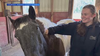 Pamlico County High School students get handson experience with horses [upl. by Maddy]