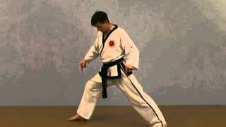 Basic Taekwondo Stances for beginners with master Frank Murphy [upl. by Siroved]