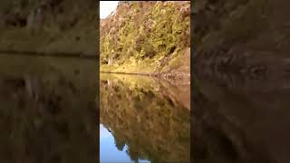 Amazing reflection on a jetboat ride from The Bridge to Nowhere on the Whanganui River New Zealand [upl. by Laoj]