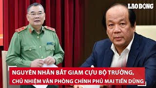 Nguyên nhân chính dẫn đến bắt giam cựu Bộ trưởng Chủ nhiệm Văn phòng Chính phủ Mai Tiến Dũng  BLĐ [upl. by Nivrac]