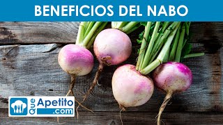 8 Propiedades y Beneficios del NABO ✅  QueApetito [upl. by Llenyt563]