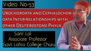 Urochordata and Cephalochordata interrelationships with other Deuterostome Phyla Video No53 [upl. by Radek356]