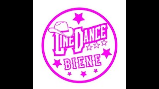 Beer For My Horses Lernvideo Teach amp Dance Line Dance Biene Teil 2 [upl. by Ecnarepmet536]