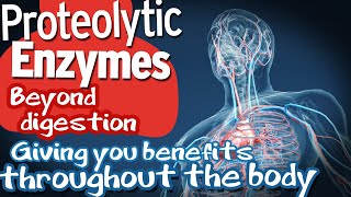 Proteolytic Enzymes Beyond digestion Giving you benefits throughout the body [upl. by Sakmar162]