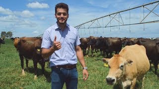 Como fazer a DIFERENÇA NO MERCADO com a Pósgraduação em GESTÃO DO AGRONEGÓCIO do Rehagro [upl. by Karissa]