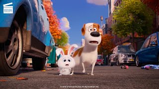 The Secret Life of Pets Escaping the sewers HD CLIP [upl. by Aremat]