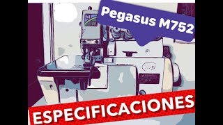 Paso a paso para Sincronizar la Fileteadora  Profe Suescún  4K [upl. by Strepphon398]