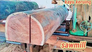 sawmillmenggergaji kayu keruing super Buat bahan balokan usuk dan lainlain [upl. by Yerffoej]