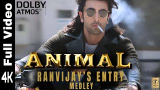 ANIMALRanvijays Entry MedleyFull Video Ranbir Kapoor  AR Rahman Threeory Band [upl. by Niret]