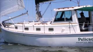 Sailing Cape Dory 30 Motorsailer SOLD Annapolis Fred Hallett light breeze nice cruising sailboat [upl. by Maxma991]