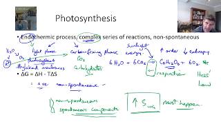 EAR4 Enthalpy Entropy and Photosynthesis [upl. by Jarrett]