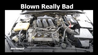 Symptoms of Blown Head Gasket [upl. by Gnehc899]