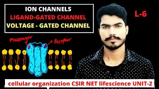 ion channelsligand or voltage gated channelL6 [upl. by Edmondo]