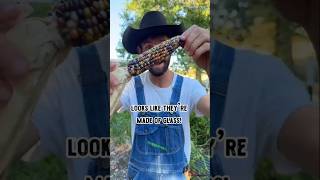 Crazy Facts About Food 🌽 fact amazingsfactsfoodfruits psycofacts [upl. by Dyane]