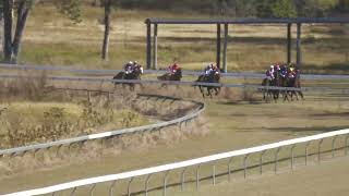 Gayndah 20240608 Race 2 [upl. by Matti]