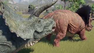 T REX VS TRICERATOPS JURASIC PARK GAME 2024 CARNIVORE VS HERVIBORE DINO FIGHTS DINOSAUR FOR TOLDDER [upl. by Gorrono811]