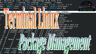 Terminal Linux Software Package Managment [upl. by Nnahgaem218]