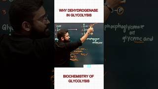 Dehydrogenase  Glycolysis  Respiration  Dr Niladri Deb  ​⁠factionbio1166 [upl. by Nwahs323]