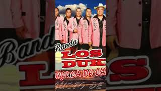 Banda Los Dukes  Musica Latina Guerrense banda dance shorts [upl. by Engdahl542]