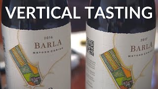 VERTICAL TASTING of Barbera Wine BARLA from Case Corini Winery [upl. by Leuams754]