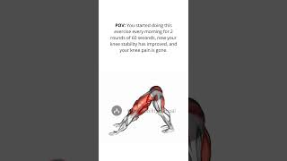 Knee Pain  Knee Stability  Mobility Exercises  The Mobility Manual [upl. by Neillij701]