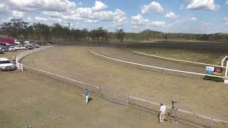 Gayndah 20241012 Race 2 [upl. by Alikahs]