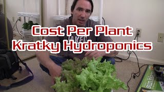 Kratky Hydroponic Cost Breakdown Per Plant [upl. by Karlen]