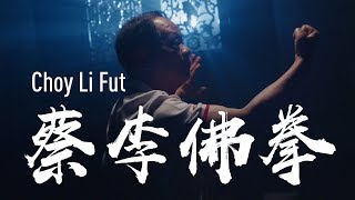 China Kungfu Choy Li Fut [upl. by Iel836]