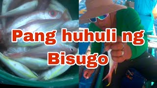 Isdang Bisugo  Pang huhuli fishing fishing fishingvideo viralvideo fish [upl. by Odrawde492]