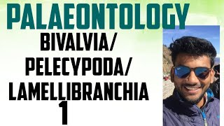 palaeontology lecture series bivalvia pelecyopoda lamellibranchia part12 [upl. by Cher]