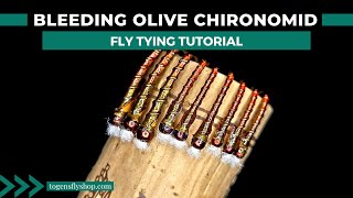 Bleeding Olive Chironomid  Fly Tying Tutorial [upl. by Redla]