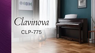 Yamaha Clavinova CLP775 Digital Piano Overview [upl. by Anyahs292]