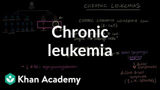 Chronic leukemia  Hematologic System Diseases  NCLEXRN  Khan Academy [upl. by Joo]