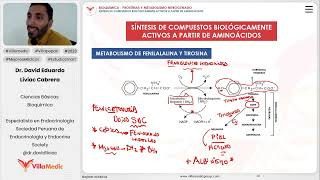 Proteínas y metabolismo nitrogenado  Síntesis de compuestos biológicamente activos a partir de amin [upl. by Matthaeus421]