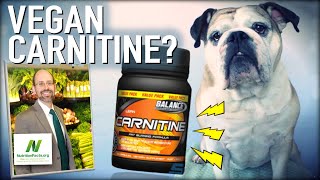 Carnitine Carnosine amp Creatine OH MY  Dr Michael Greger of Nutritionfactsorg [upl. by Abernathy562]