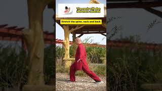 Spine and Lower Back Stretch Relieve Tension and Enhance Flexibility kungfu [upl. by Quintina]