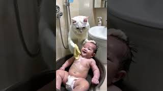 Cat gives baby a bath together [upl. by Asamot]