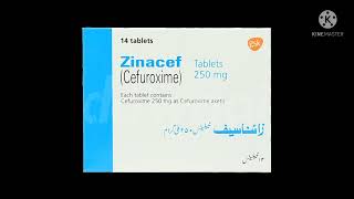 zinacef tablets information [upl. by Anoyi]