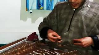 Pakistan anthem on santoor and rabab by umar majeed and zubair kashmir boys [upl. by Hi]