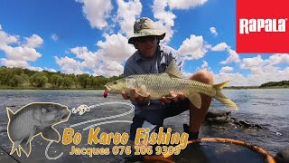 Fishing the Orange River at Orania [upl. by Brunella]