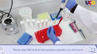 Aislamiento de DNA plasmídico recombinante de Escherichia coli Método de lisis alcalina [upl. by Ennayram]