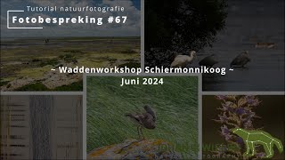 Fotobespreking 67  Waddenworkshop Schiermonnikoog  juni 2024 [upl. by Tobin]