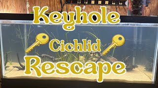 Keyhole Cichlid Tank Rescape [upl. by Ennaylil]