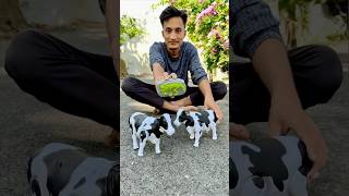 Rc Remote Control Two Cow Unboxing 🐄🔥 [upl. by Mountford517]