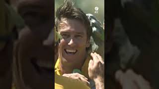 Glenn McGrath  Precision personified 🎯 Cricket CricketShorts YTShorts [upl. by Constantine]