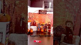 Local Farm Fresh Pumpkin Patch Apples Ciders amp Hayrides HEB halloween decoration shorts [upl. by Esimaj147]