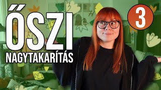 Őszi Nagytakarítás 3rész I NAPPALI KONYHA I🧽🛋🍽 [upl. by Liggitt]