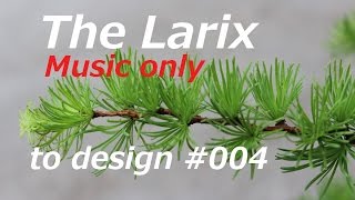 Bonsai Design Larix full speed amp music film 004 [upl. by Cinomod]