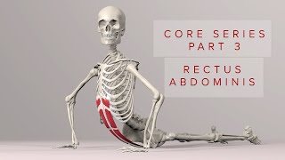 Core Series Part 3 Rectus Abdominis Muscle 3D Animation [upl. by Dronel]